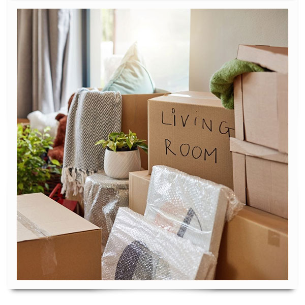 Contact JC Liquidators